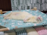 a vampire without his coffin is like a marvin without his sludge.jpg