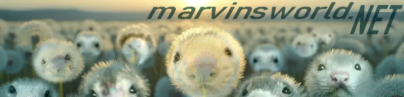 Banner image